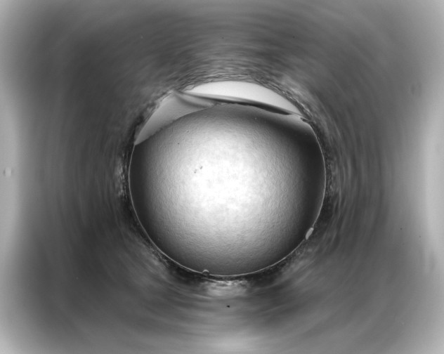 X0000086900465200704301020