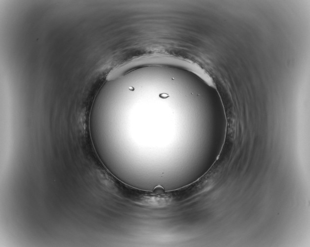 X0000086900466200704301020