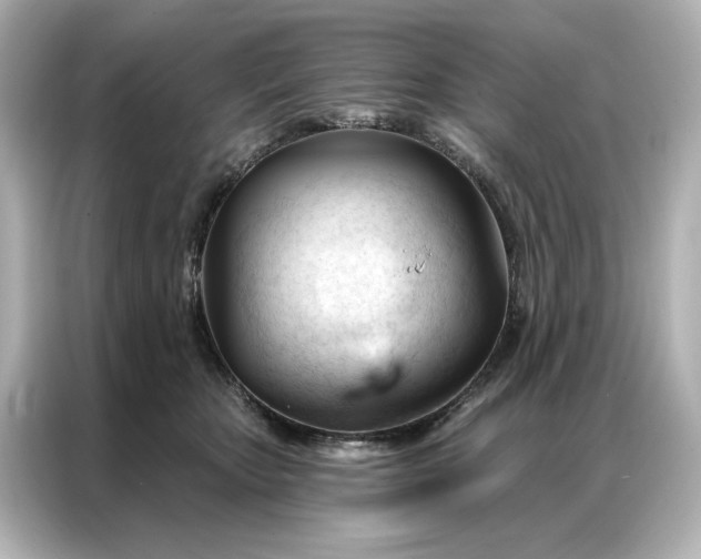 X0000086900467200704301020