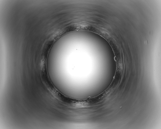 X0000086900468200704301020