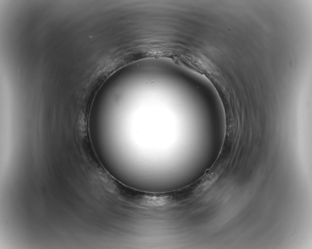 X0000086900469200704301020