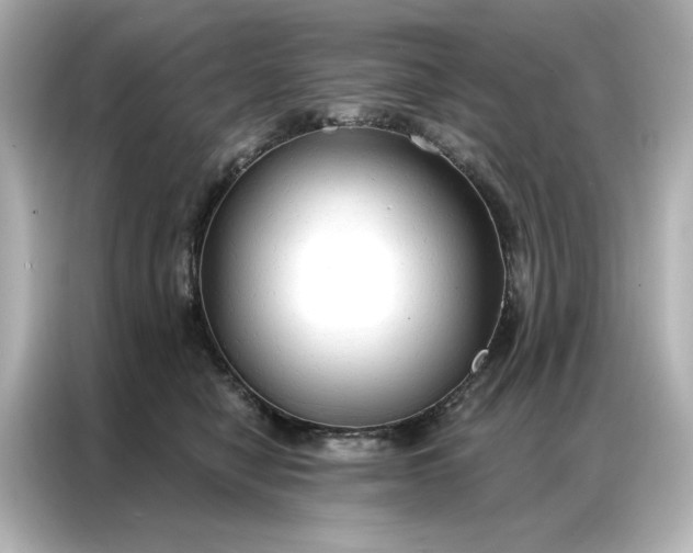 X0000086900470200704301020