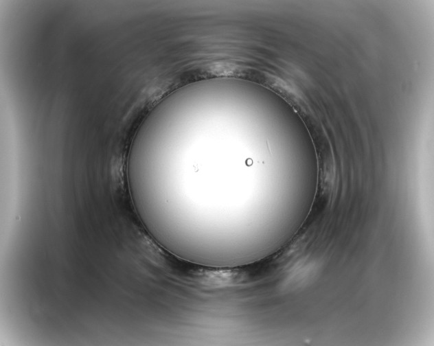 X0000086900473200704301020