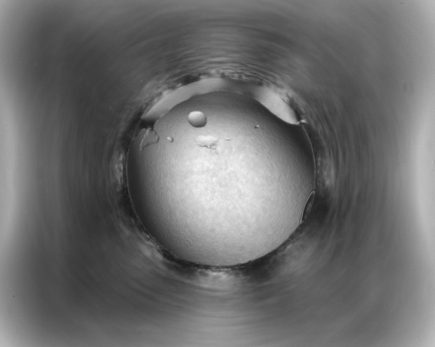 X0000086900475200704301020