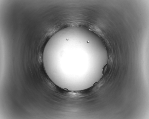 X0000086900477200704301021