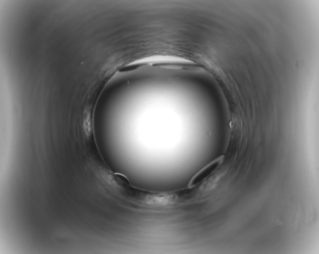 X0000086900479200704301021