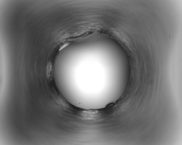 X0000086900480200704301021