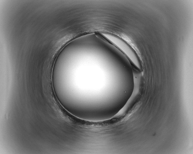 X0000086900481200704301020