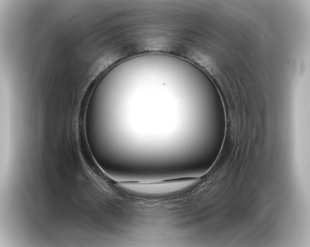 X0000086900482200704301020