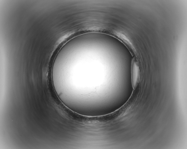 X0000086900483200704301020