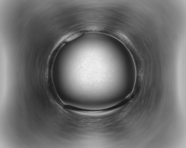 X0000086900484200704301020