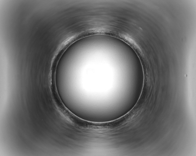 X0000086900486200704301020