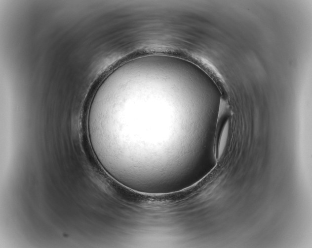 X0000086900487200704301020