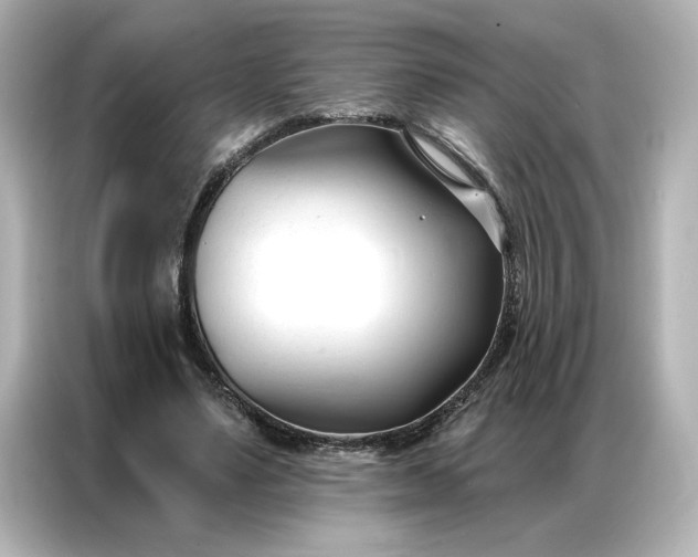 X0000086900491200704301020