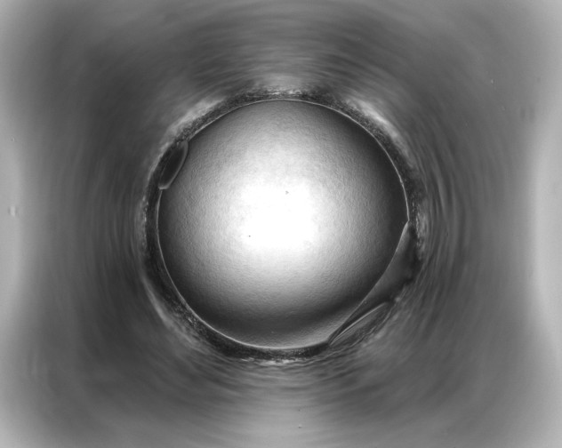 X0000086900492200704301020