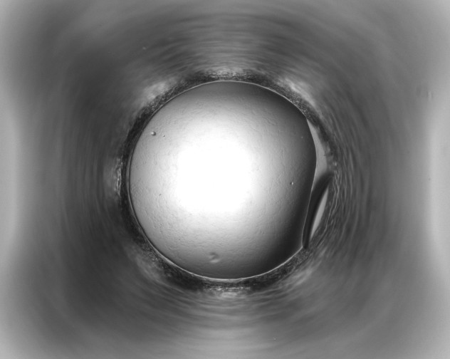 X0000086900495200704301020