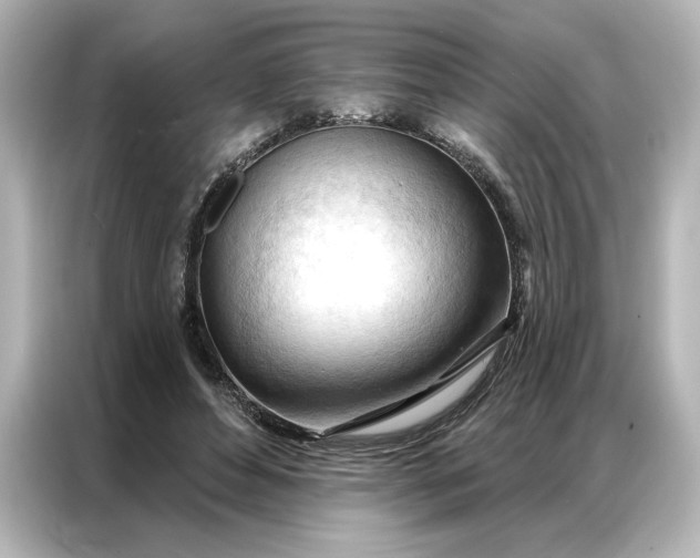 X0000086900496200704301020