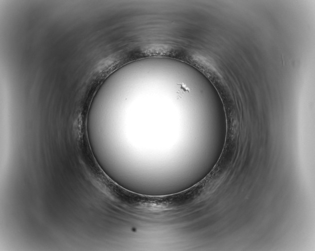 X0000086900498200704301020