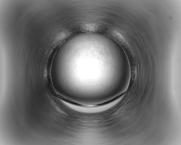 X0000086900500200704301020