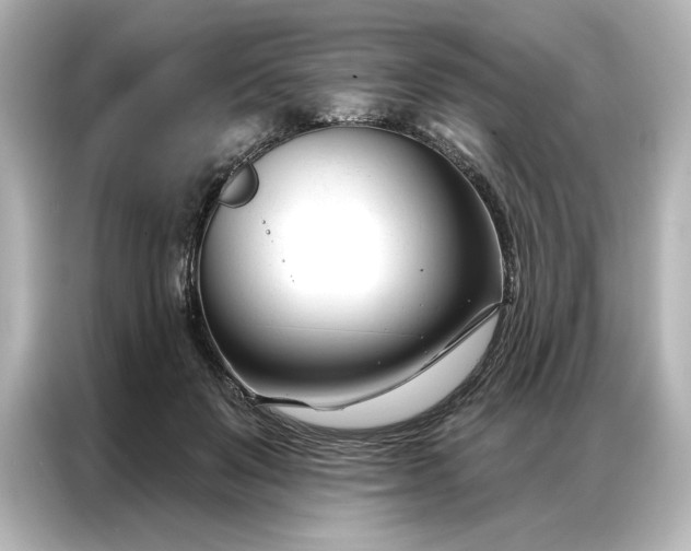 X0000086900503200704301020