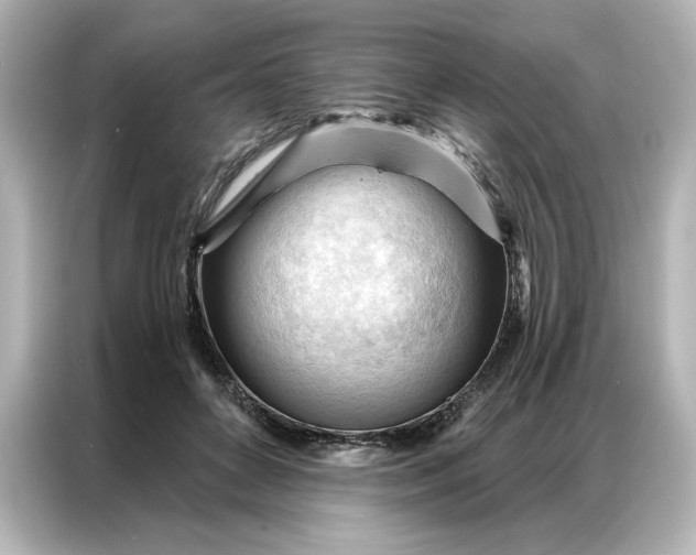 X0000086900504200704301020