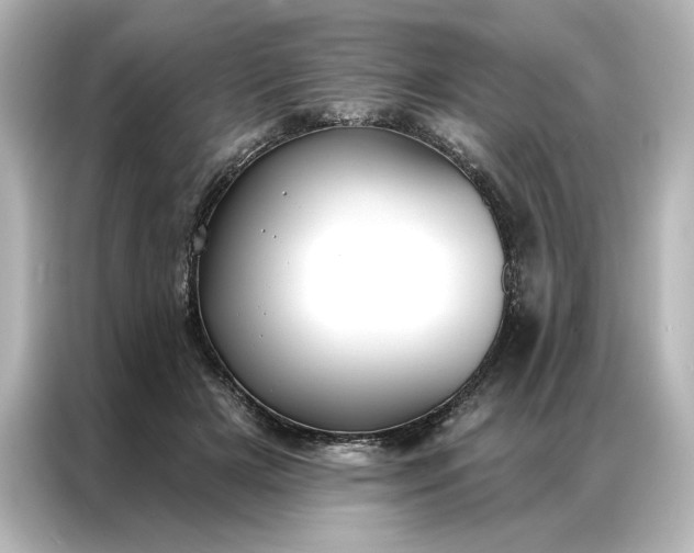 X0000086900505200704301020