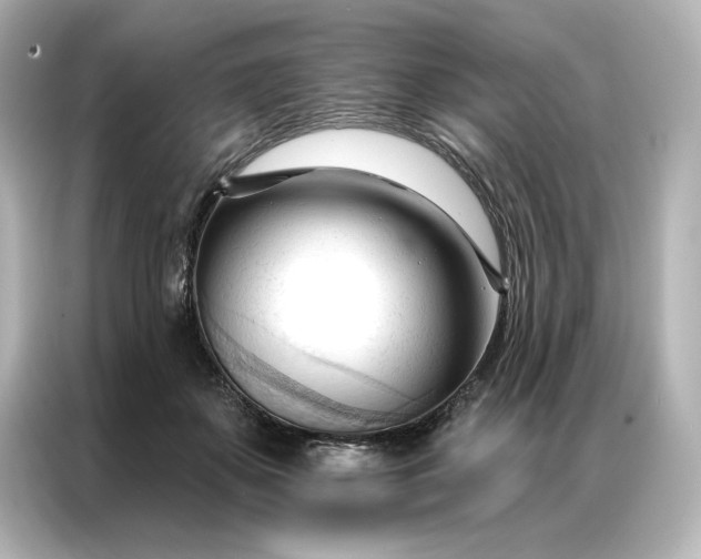 X0000086900507200704301020