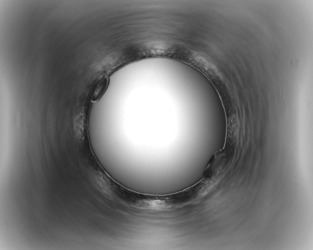 X0000086900509200704301020