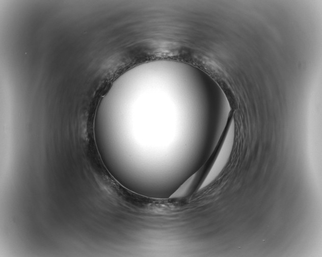 X0000086900512200704301020