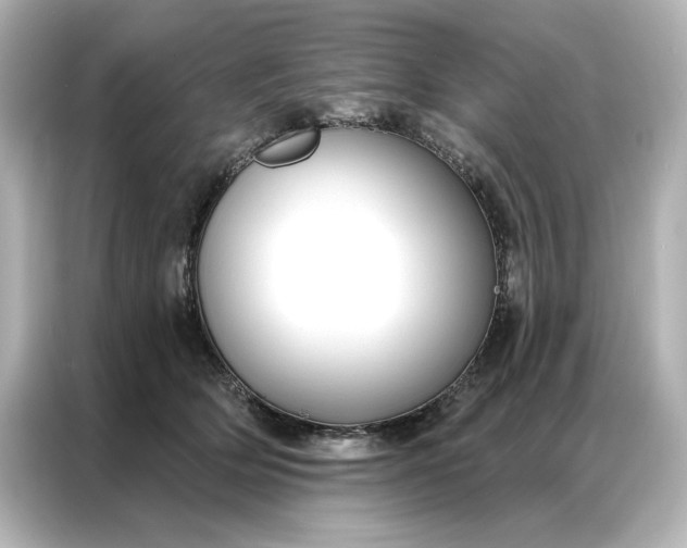 X0000086900514200704301020