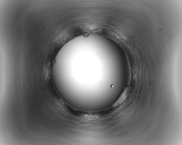 X0000086900515200704301019