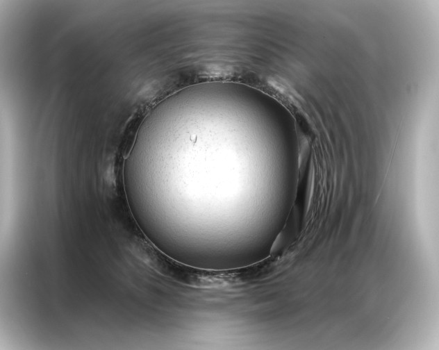 X0000086900516200704301019