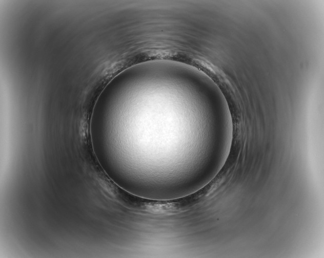 X0000086900517200704301019