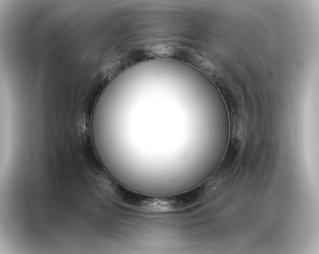 X0000086900518200704301019