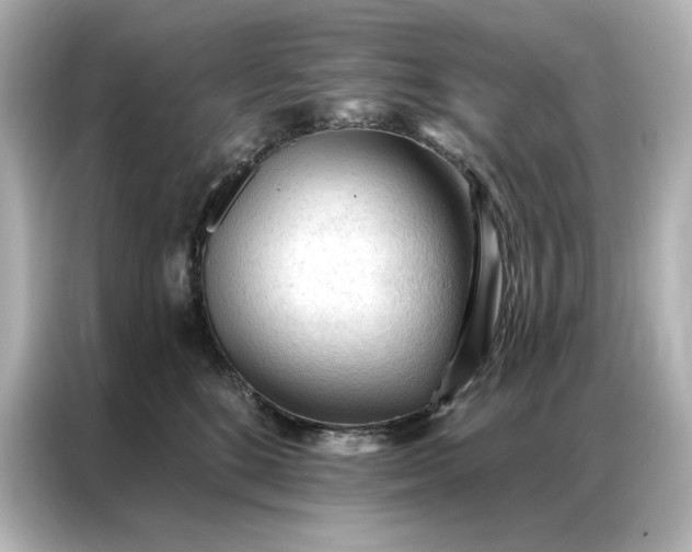 X0000086900520200704301019