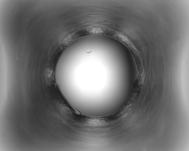 X0000086900521200704301019