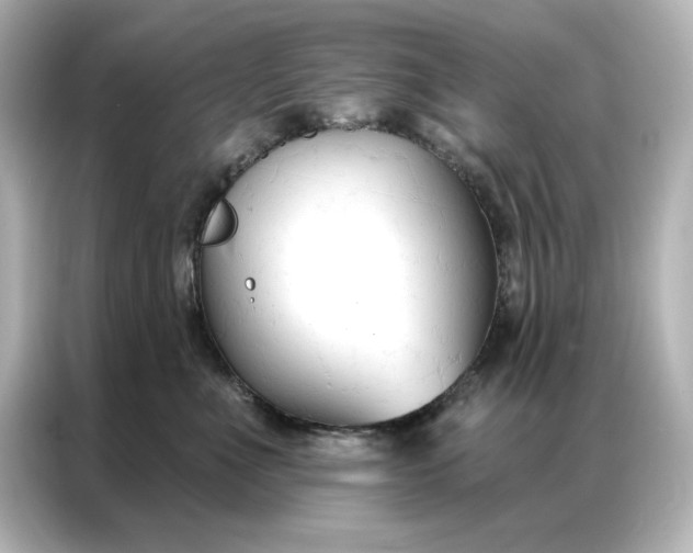 X0000086900523200704301019