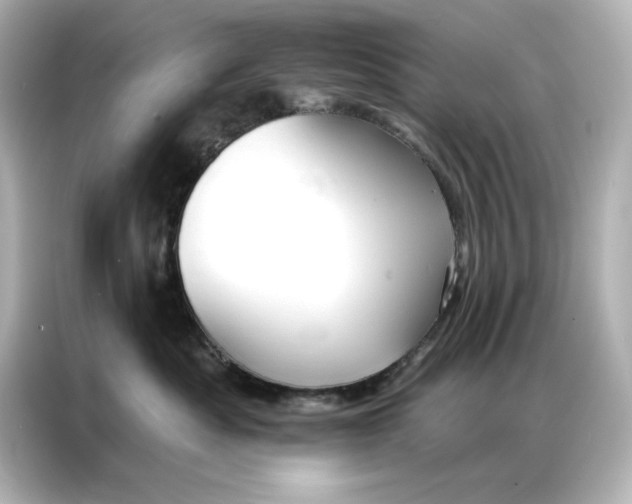 X0000086900525200704301019