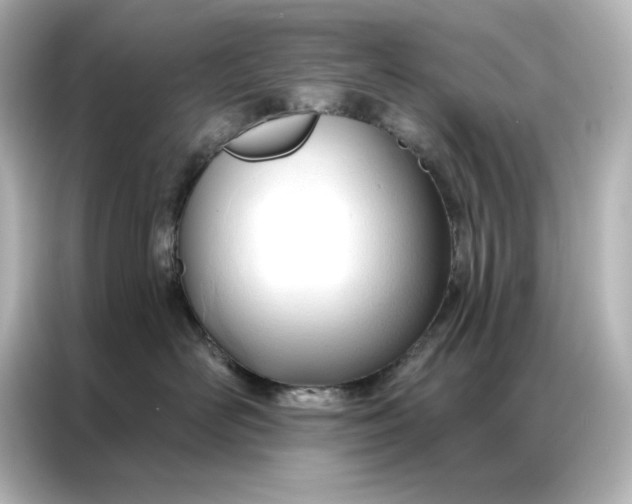 X0000086900526200704301019