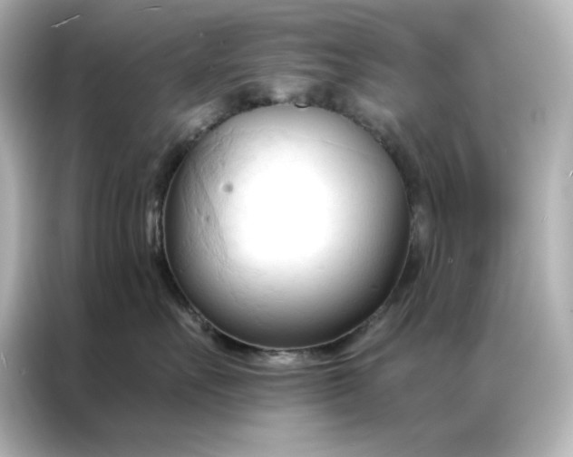 X0000086900527200704301019