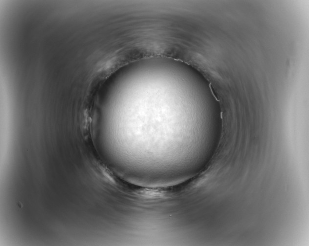 X0000086900528200704301019