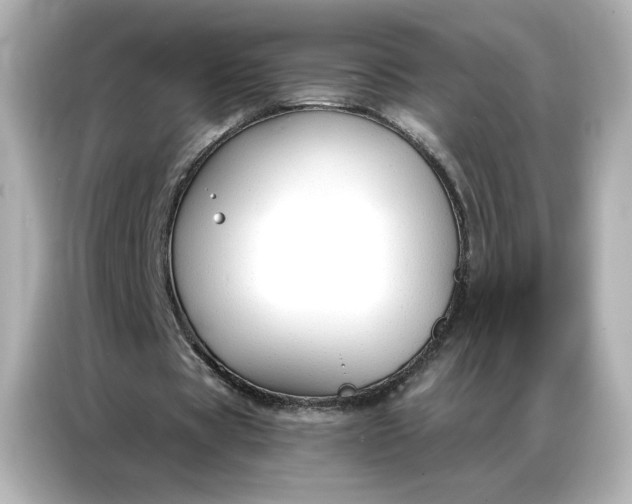 X0000086900529200704301019