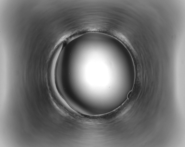 X0000086900530200704301019