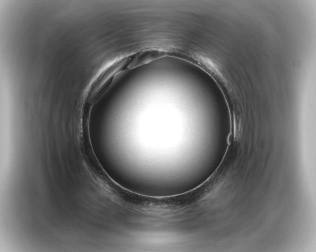 X0000086900531200704301019