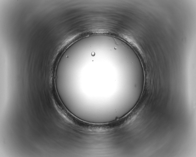 X0000086900533200704301019