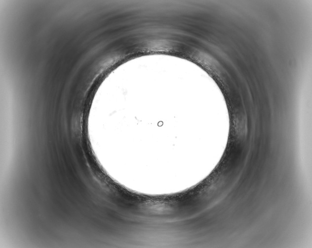 X0000086900534200704301019