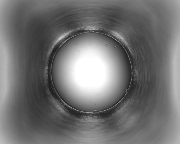 X0000086900535200704301019