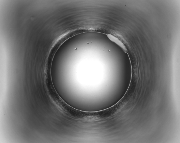 X0000086900536200704301019