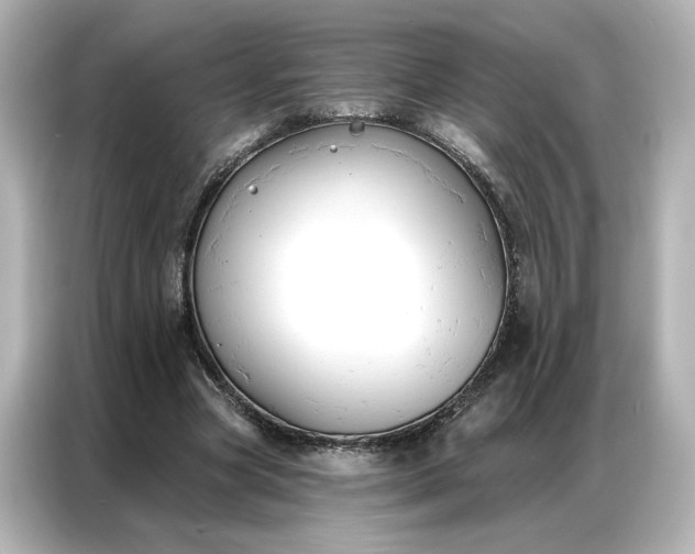 X0000086900537200704301019