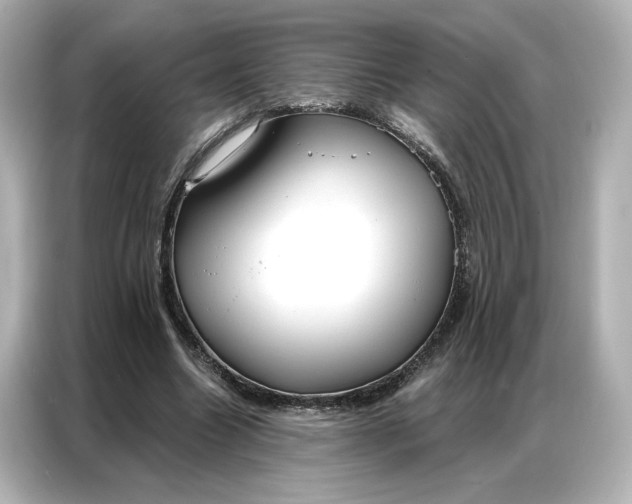 X0000086900538200704301019